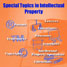 Book cover - Special topics in intellectual property