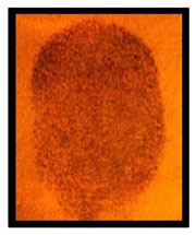 TNT thumbprint