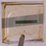 Biodegradable transistor