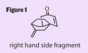 Totally synthetic figure 1