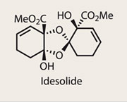 Idesolide