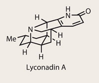 Lyconadin A