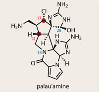 Palau'amine