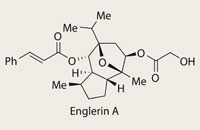 Englerin A
