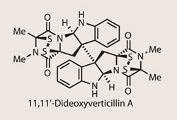 DideoxyverticillinA