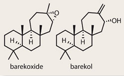Barekoxide and barekol