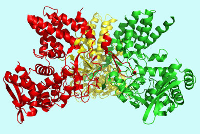 Influenza A