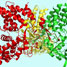 Influenza A nucleoprotein