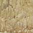 Termite damage