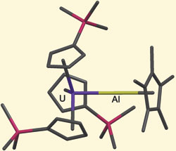 The unsupported uranium-aluminium bond