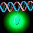 Quencher-free molecular beacons