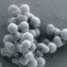 Synthetic cells