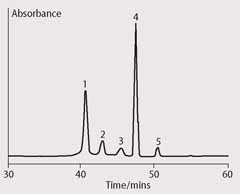 Fig 1 HPLC chromatogram showing products of chlorophyll a autoxidation after storage in acetone