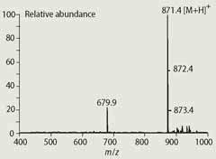 Fig 3 Mass spectrum of phaeophytinised chlorophyll a