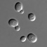 Synthetic yeast