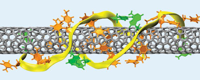 DNA wrapped around a carbon nanotube