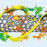 DNA wrapped around a carbon nanotube