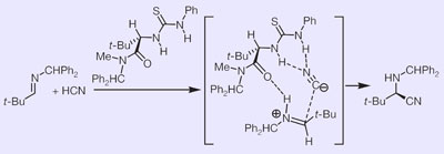 New route to amino acids New route to amino acids