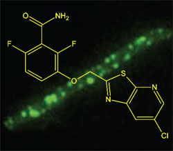 Inhibitor structure