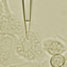 Attosyringe in action