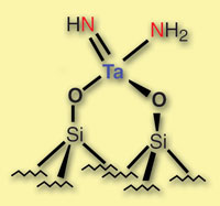 The tantalum-nitrogen complex