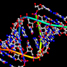 RNA