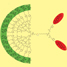 dendrimer