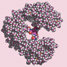 dendrimer