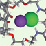 Receptor selective for ion-pair binding