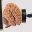 Brain under pressure