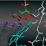 Mechanism of thymidylate synthase