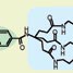 Gene delivery with dendrimers