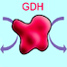 Enzyme