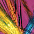 Peptide nanotubes