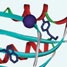 Probing protein conformation