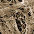 Nanotubes