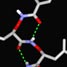 Aminoxy acid dimer
