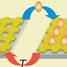 Ordered nanoarray of molecules