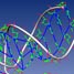 RNA