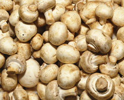Mushrooms