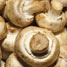 Mushrooms