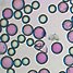 On-bead colour assay system
