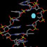 Damaged DNA