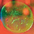 Hologram