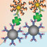 Bio-barcodes for cancer detection