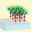 Ionic liquid biosensor