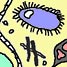 Bacteria