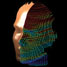 A computer-generated sun-exposure topography of the artificial head