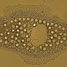 Fibroblast cell