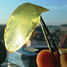 A polymer film